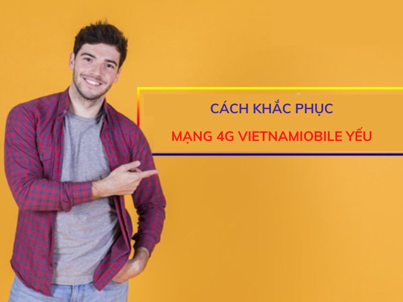mang-vietnamobile-yeu