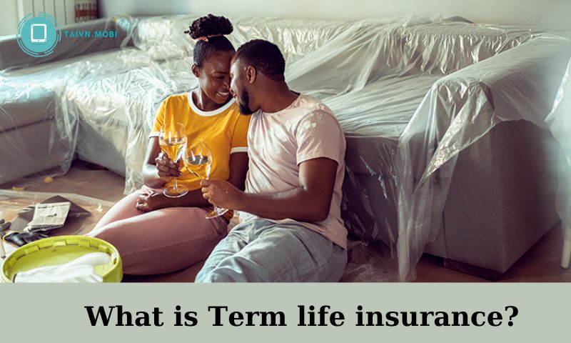 What is Term life insurance?