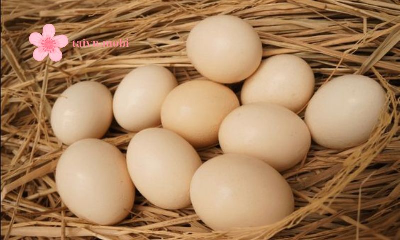 신선한 계란의 난자가 있는지 구분하는 방법
